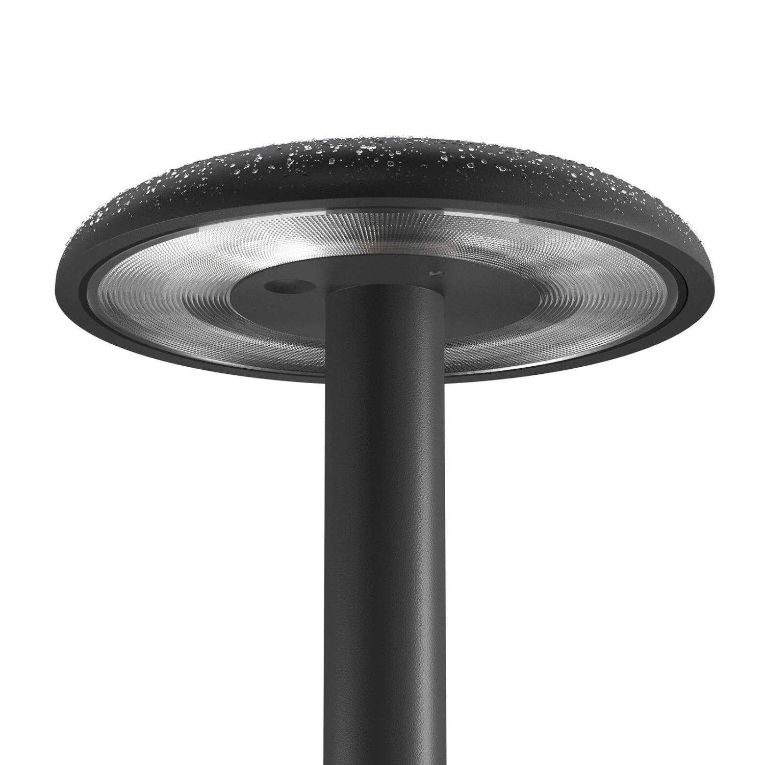 FLOS Gustave LED-Tischleuchte, Akku 3.000K Schwarz 3 FLOS Gustave LED-Tischleuchte, Akku 3.000K Schwarz – Bild 3