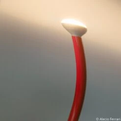 FLOS Luminator Stehleuchte, Halogen, Rot -Flos Verkaufsgeschäft 3510998 4