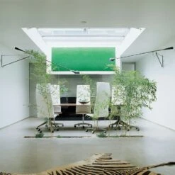 Flos 265 Wandleuchte, Schwarz 8 Flos 265 Wandleuchte, Schwarz -Flos Verkaufsgeschäft flos 265 wandleuchte weiss 2