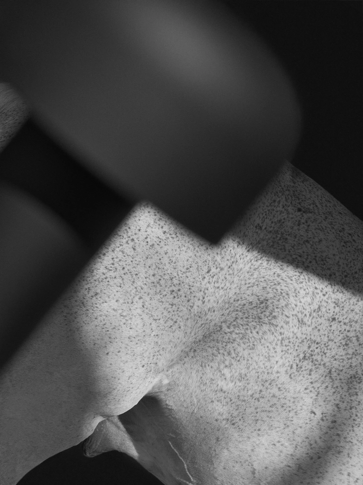 Flos Bellhop Tischlampe Tragbar, Schwarzmatt 2 Flos Bellhop Tischlampe Tragbar, Schwarzmatt – Bild 2