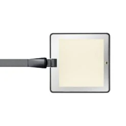 Flos Kelvin Edge Tischlampe, Titan 5 Flos Kelvin Edge Tischlampe, Titan -Flos Verkaufsgeschäft flos kelvin edge tischleuchte titanium 2