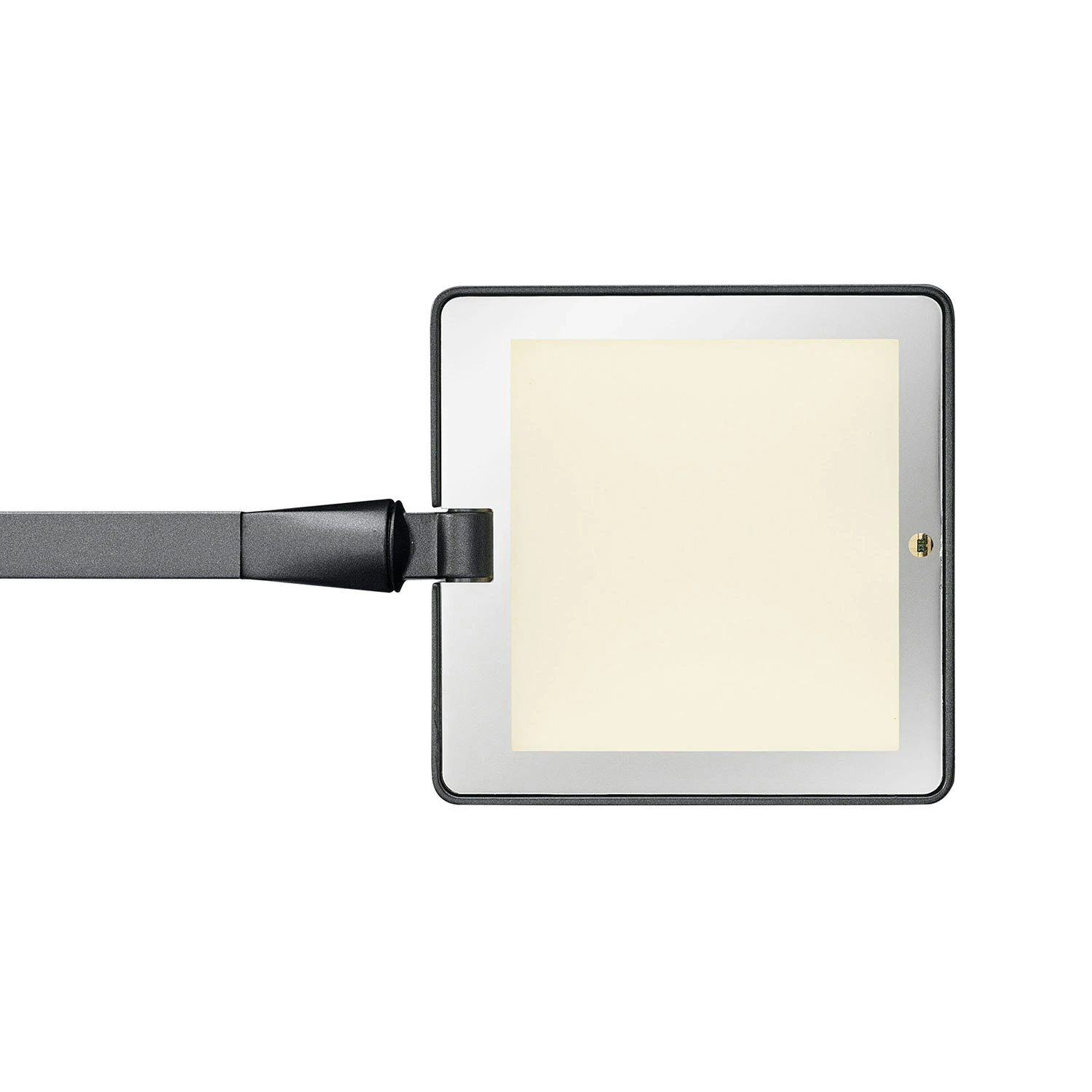 Flos Kelvin Edge Tischlampe, Titan 3 Flos Kelvin Edge Tischlampe, Titan – Bild 3